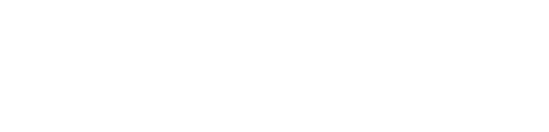 Meowfluencers